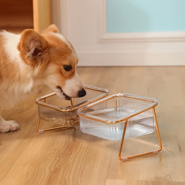 Transparent Double Cat Bowl With Vertical Design For Easy Feeding And Hydration - Ideal Pet Supplies For Cats - Image 9