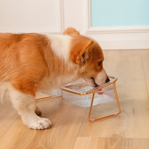 Transparent Double Cat Bowl With Vertical Design For Easy Feeding And Hydration - Ideal Pet Supplies For Cats - Image 10