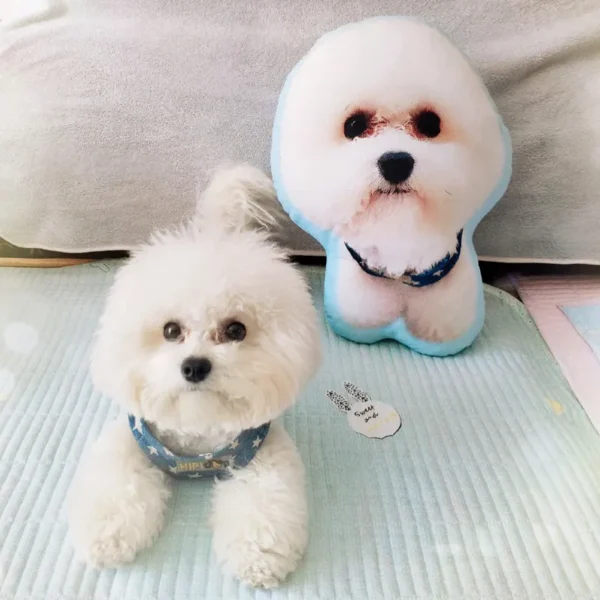 Photo Customization DIY Dog Cushion Pet Plush Pillows Stuffed Animal Cat Pillow Sofa Car Decorative Personalized birthday gift - Image 2