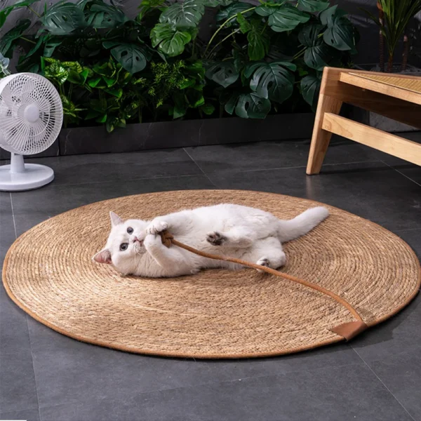 Cat Scratcher Rattan Mat Board Cat Scratch for Sharpen Nails Scraper Cats Tree Cat scratching post Sofa Mats Furniture Protector - Image 5