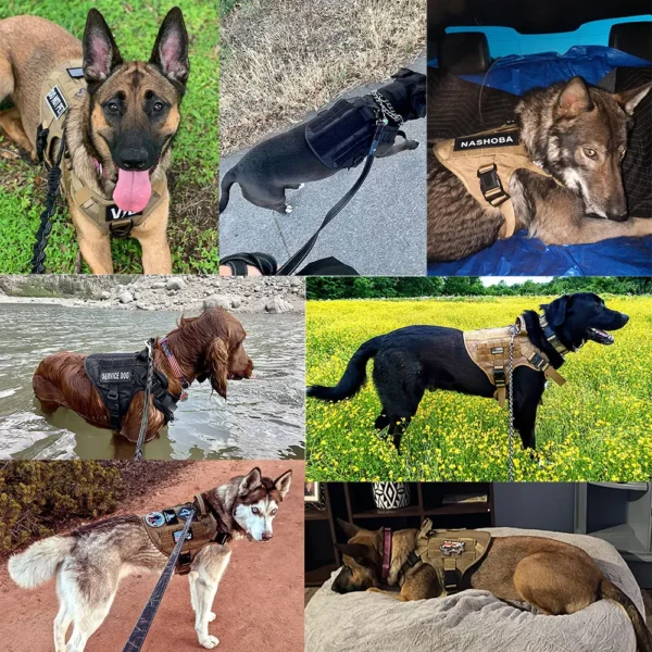 Large Dog Harness And Leash Set Pet German Shepherd Malinois Training Walking Vest Dog Harness And Collar For Medium Large Dogs - Image 6