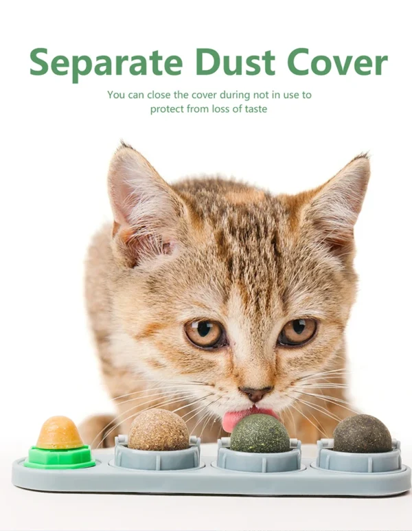 Catnip Toys Silvervine Balls Teeth Cleaning Dental Wall Treats Extra Cat Energy Ball Edible Cats Lick Healthy Kitten Chew - Image 3