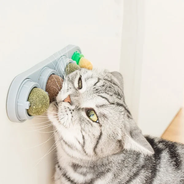 Catnip Toys Silvervine Balls Teeth Cleaning Dental Wall Treats Extra Cat Energy Ball Edible Cats Lick Healthy Kitten Chew - Image 5